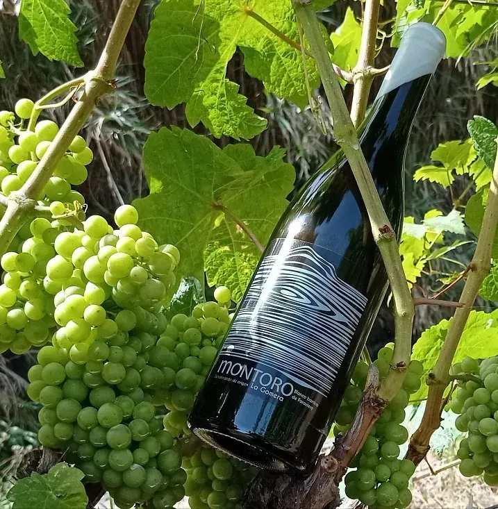 Una botella de vino frontoro reposa sobre una parra