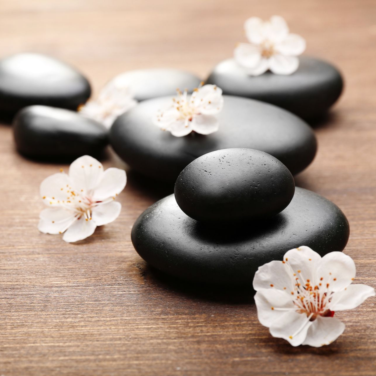 Des pierres chaudes et des fleurs de cerisier