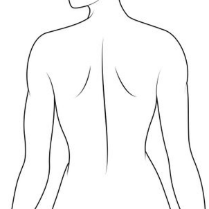 Dessin d'un dos de femme