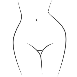 Partie centrale du corps d'une femme en dessin