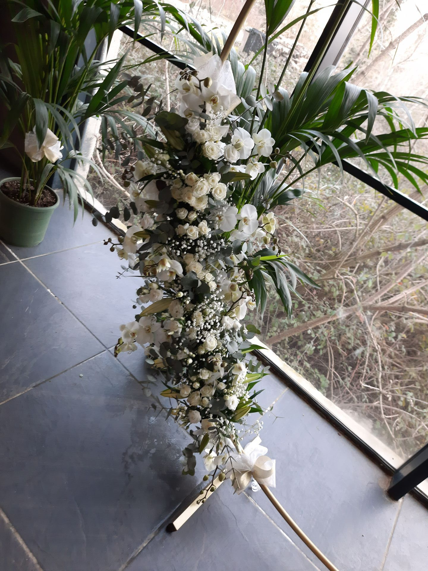 Photo de fleurs blanches sur une arche