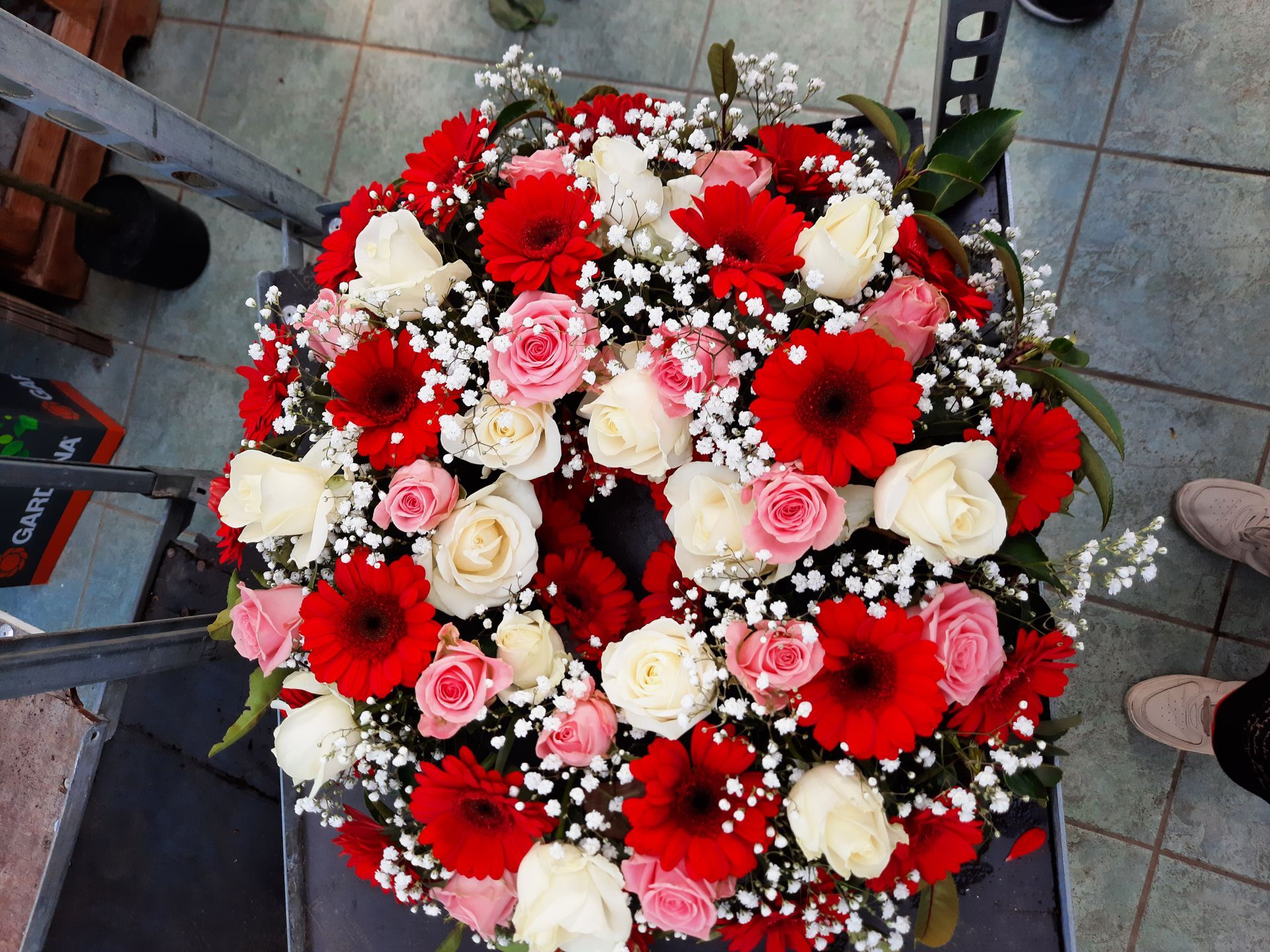 Photo de fleurs rouges, blanches et roses 