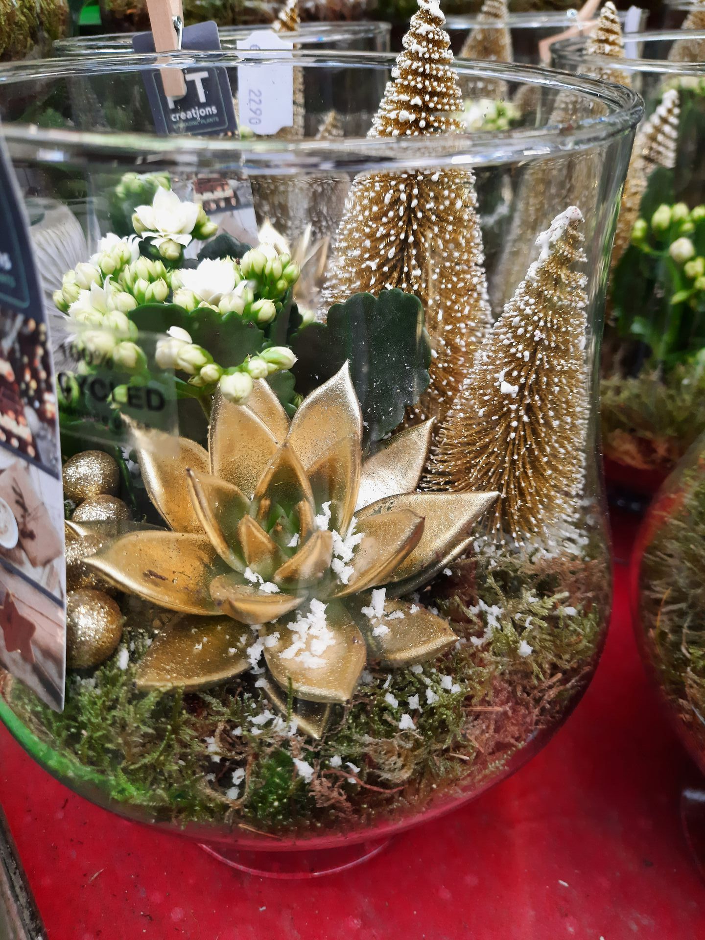 Arrangement floral avec plantes grasses et décorations dans un vase en verre transparent