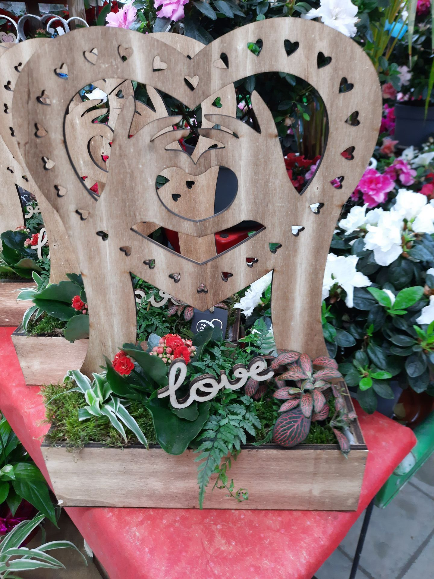 Fleurs en pot décoré avec une structure en bois dans la pépinière de Lyon Végétaux pour la Saint-Valentin.