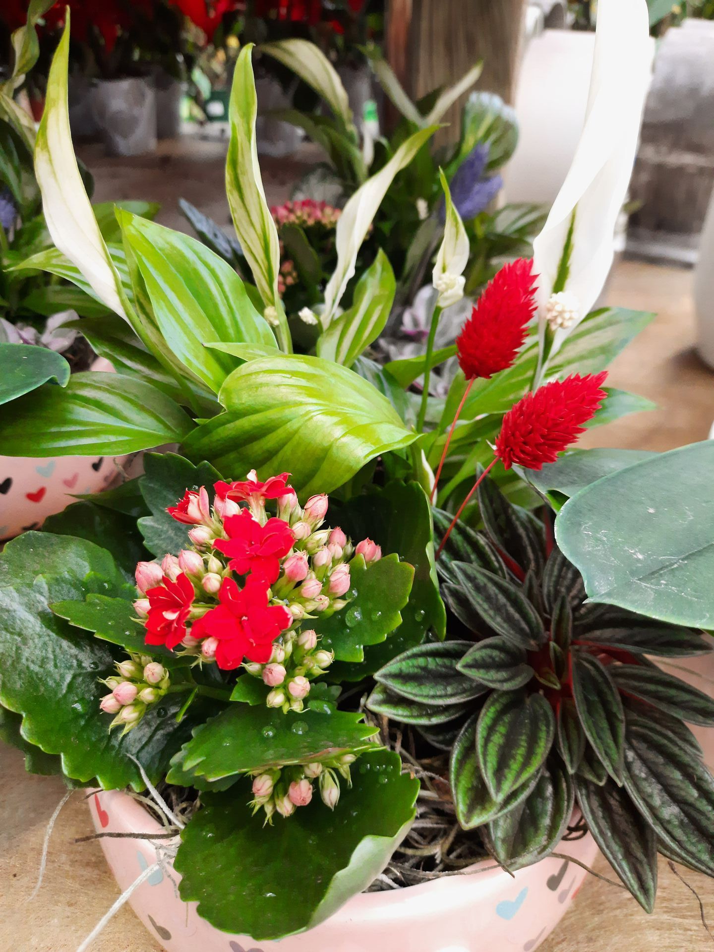 Composition florale avec kalanchoé et cœur rouge dans la pépinière de Lyon Végétaux pour la Saint-Valentin.