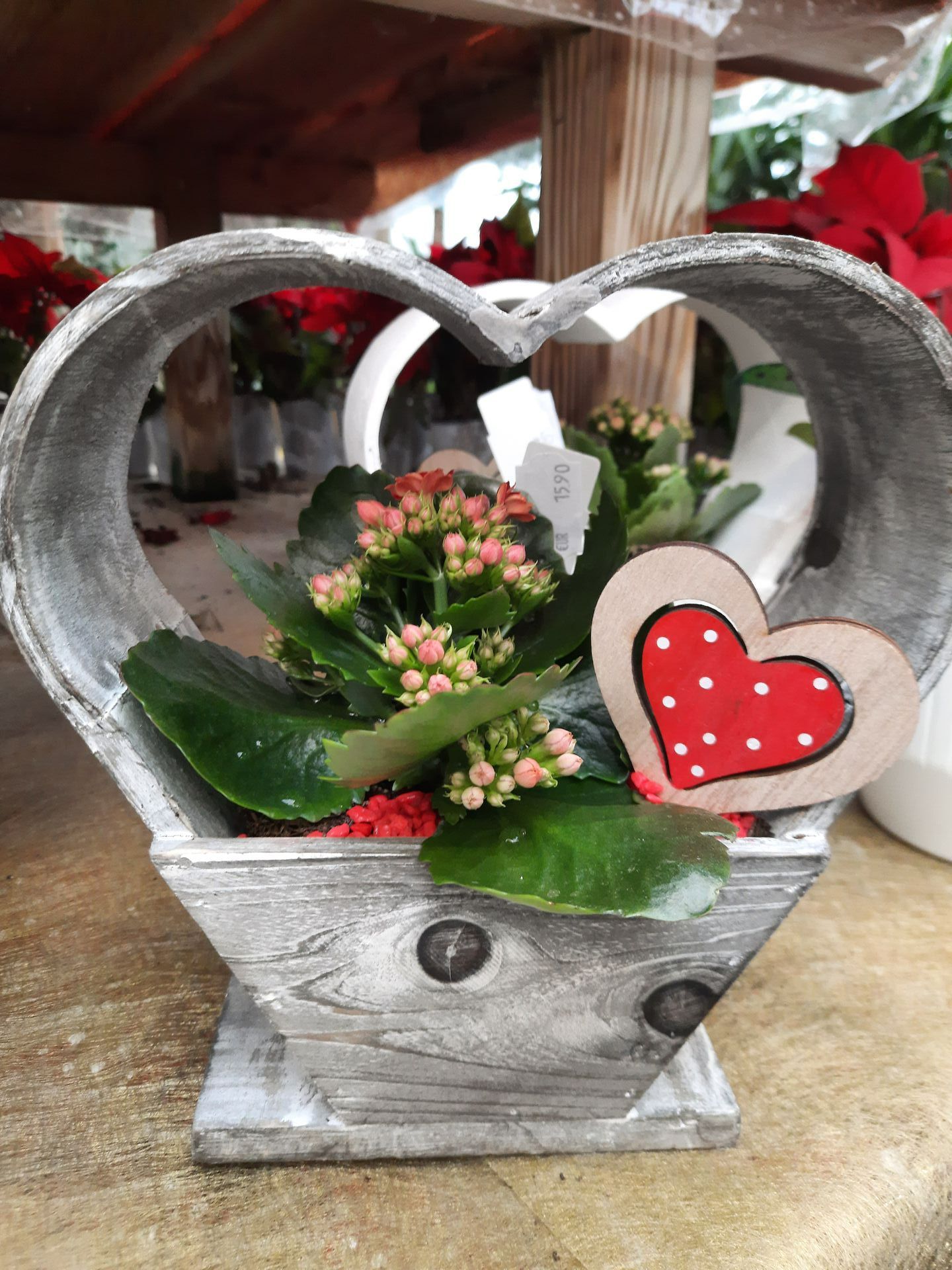 Composition florale en pot cœur en bois dans la pépinière de Lyon Végétaux pour la Saint-Valentin.