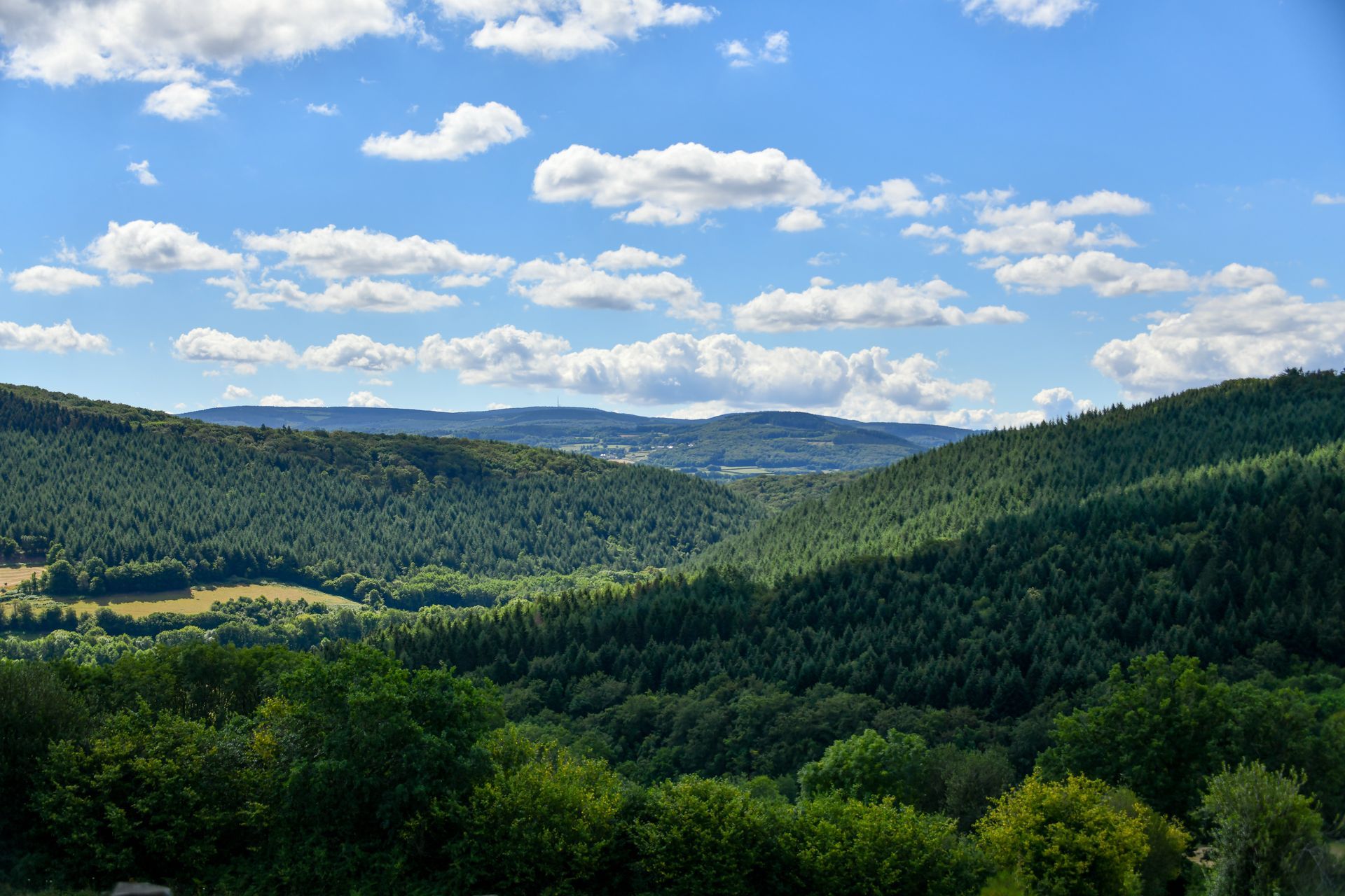 Parc naturel du Morvan en Bourgogne 