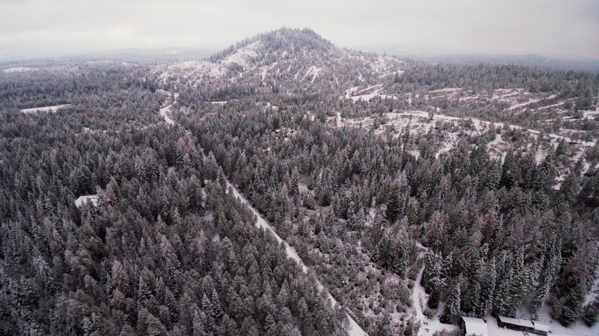 An aerial view of a snowy forest with a mountain in the background.