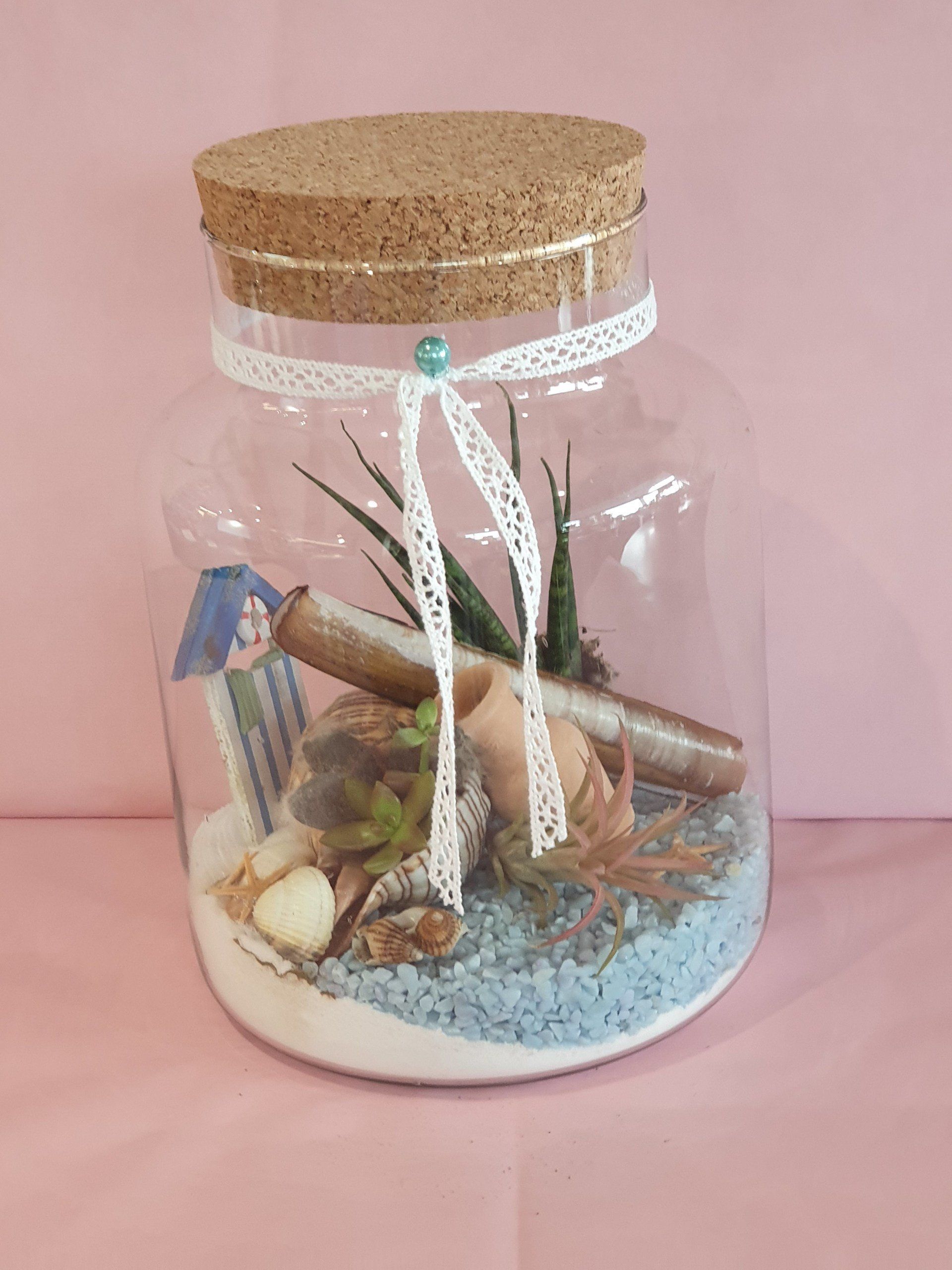 Décoration de plantes dans un bocal