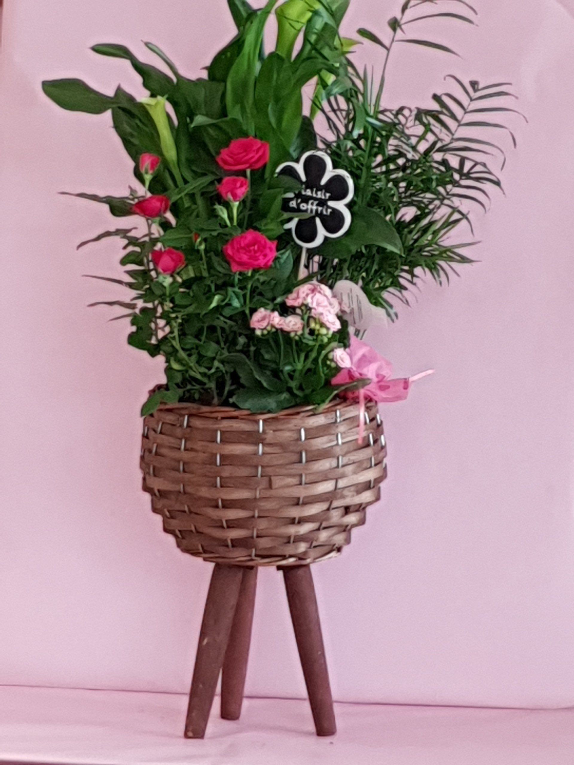 Composition de plantes