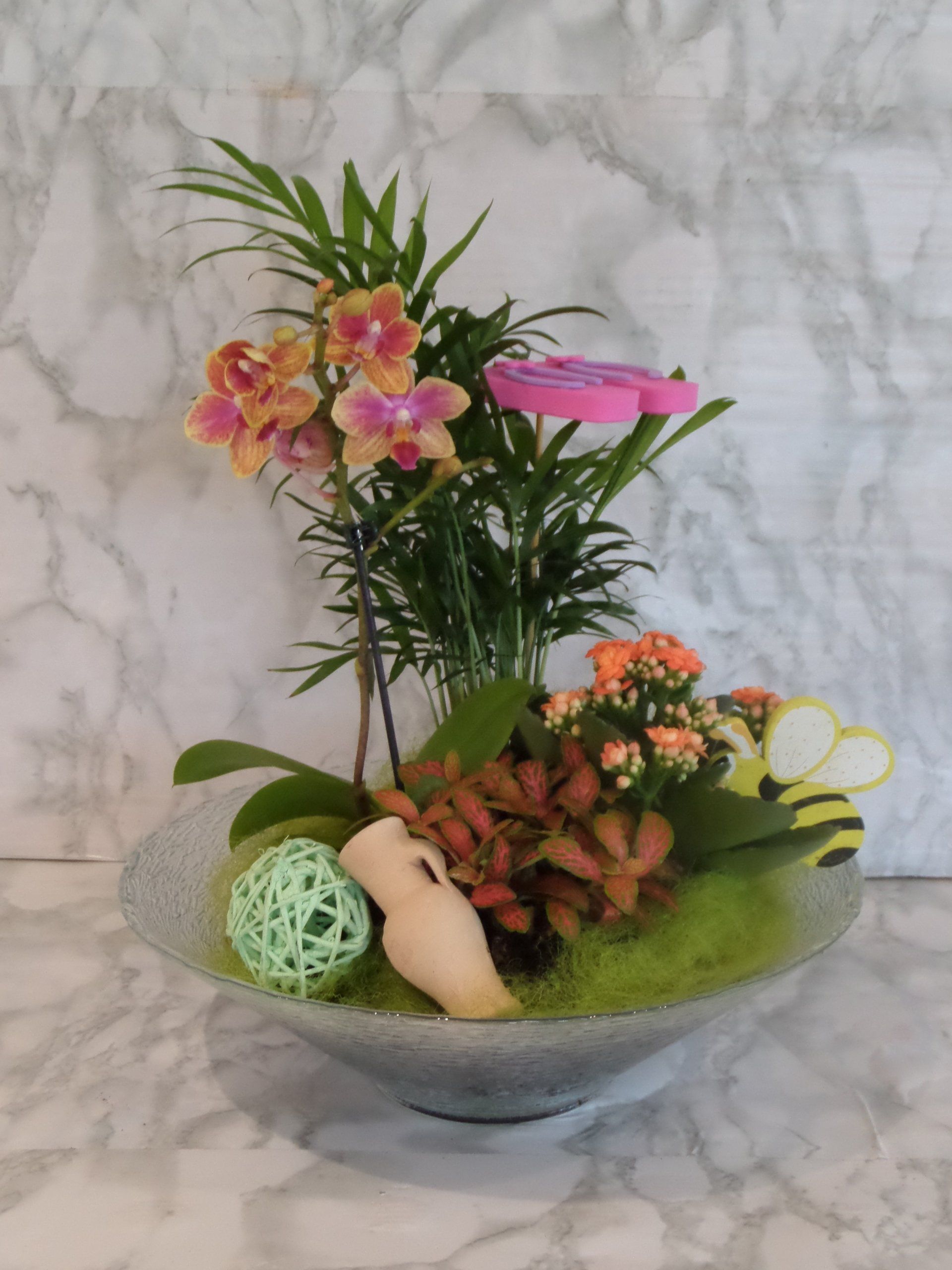 Plantes vertes et fleuries