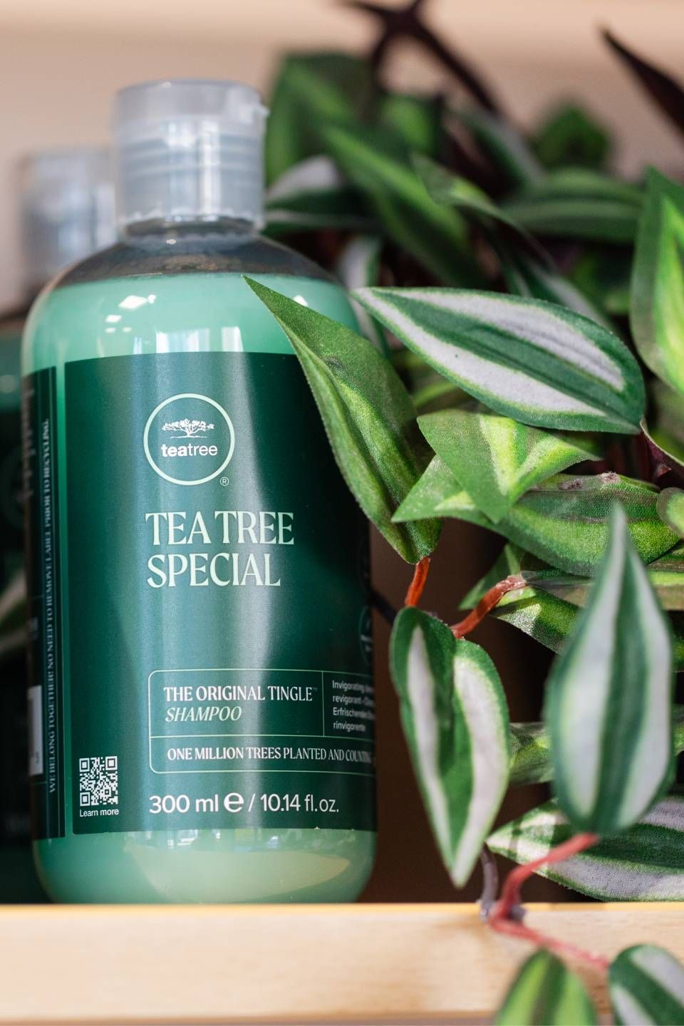Eine Flasche Paul Mitchell Tea Tree Special Shampoo neben einer grünen Pflanze mit gesprenkelten Streifen.