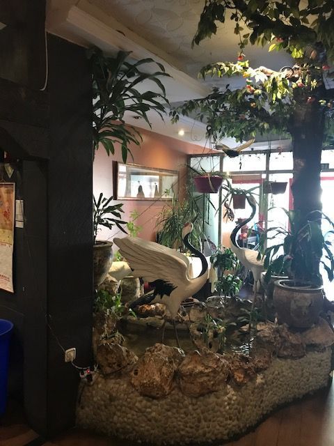 Una habitación con un cisne en el medio.