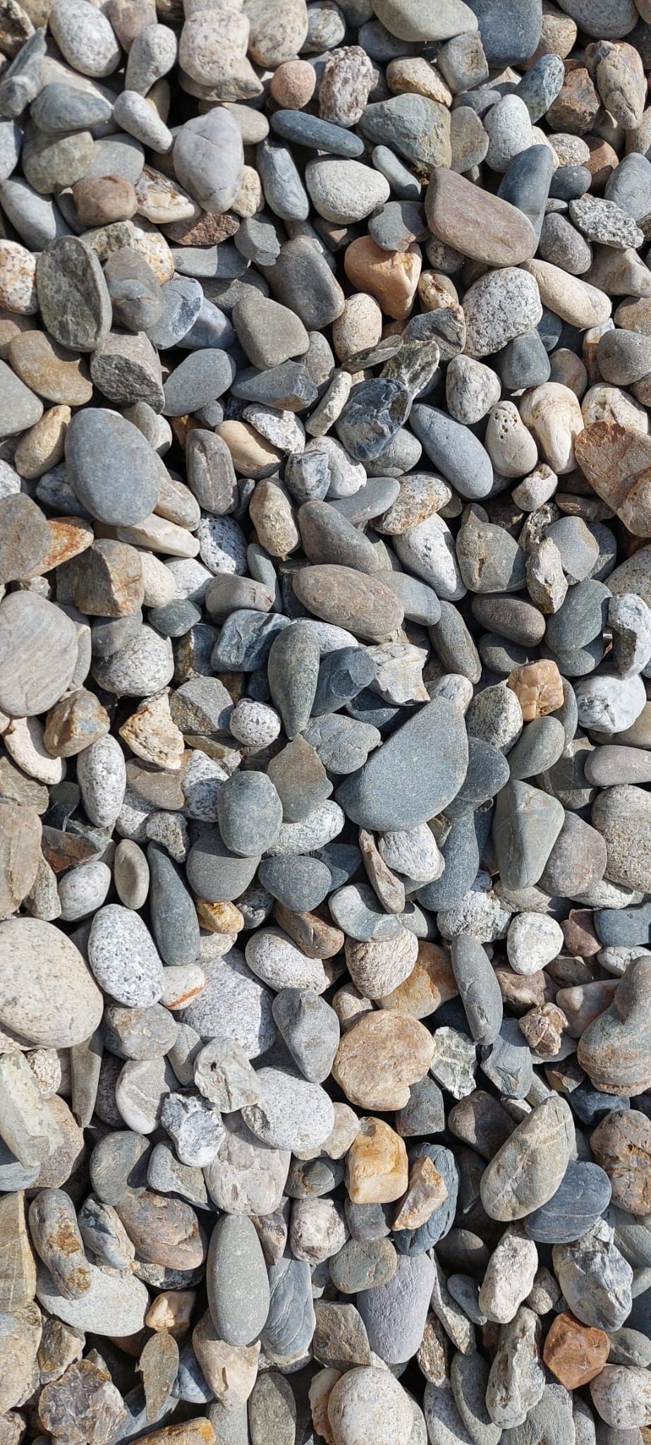 Gravier décoratif