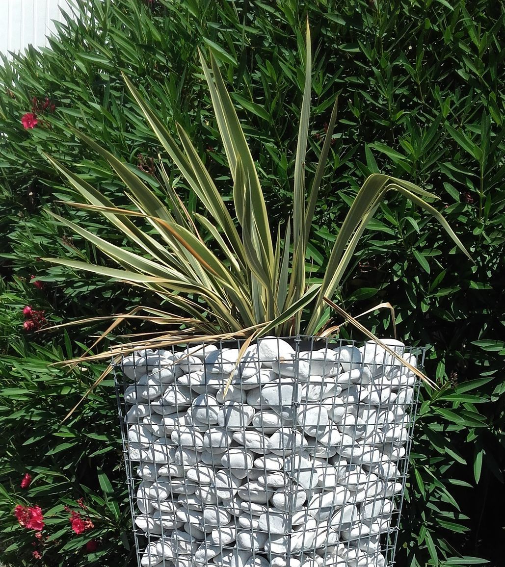 Vase en gabion