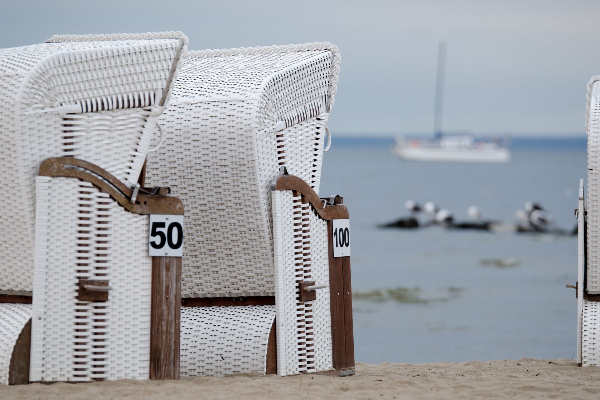 Weiße Korbsessel mit nummerierten Schildern blicken auf den Ozean, im Hintergrund ist ein Segelboot zu sehen.