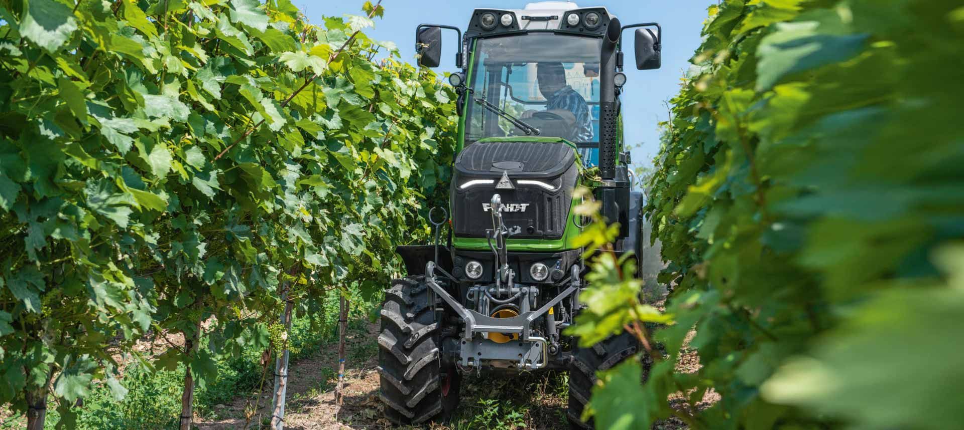 Un tractor circulando entre exuberantes hileras de viñedos verdes en un día soleado.
