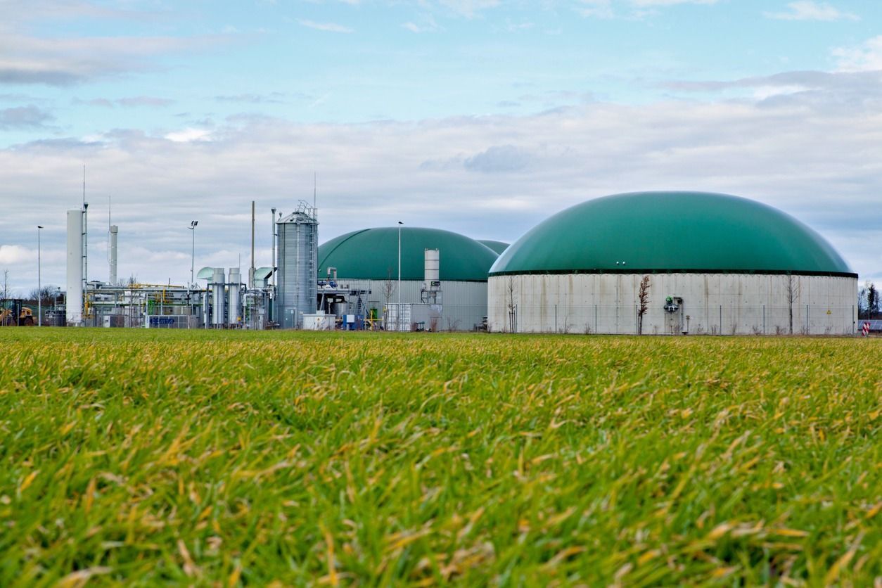 Una gran cúpula verde se encuentra en el medio de un campo de hierba.