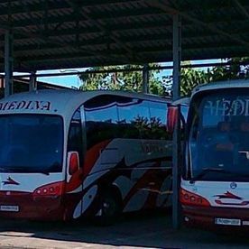 Dos autobuses rojos y blancos están estacionados bajo un toldo.