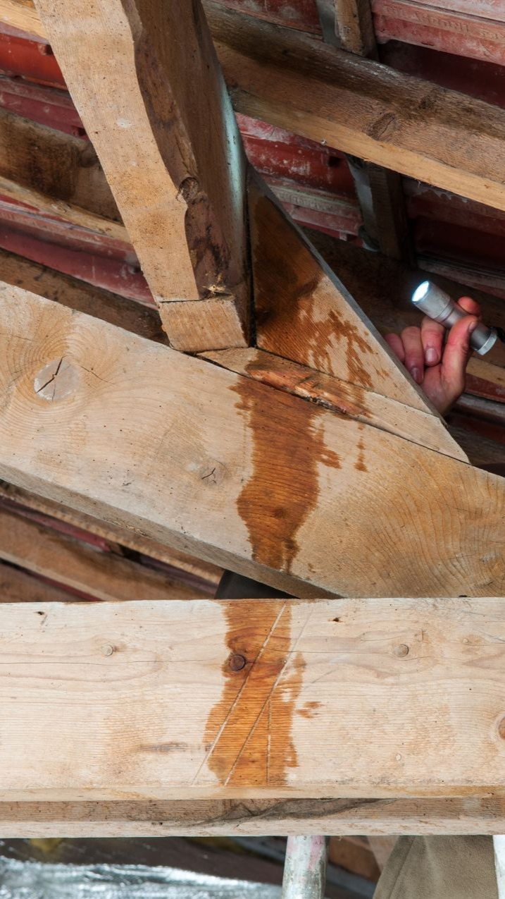 Traces de fuite d'eau sur une charpente.