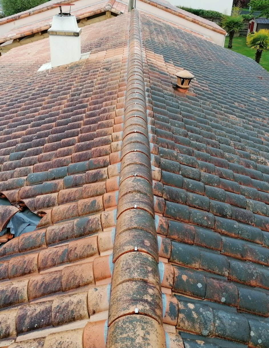 Un toit dont les tuiles sont noires, salies par la pollution et les intempéries.