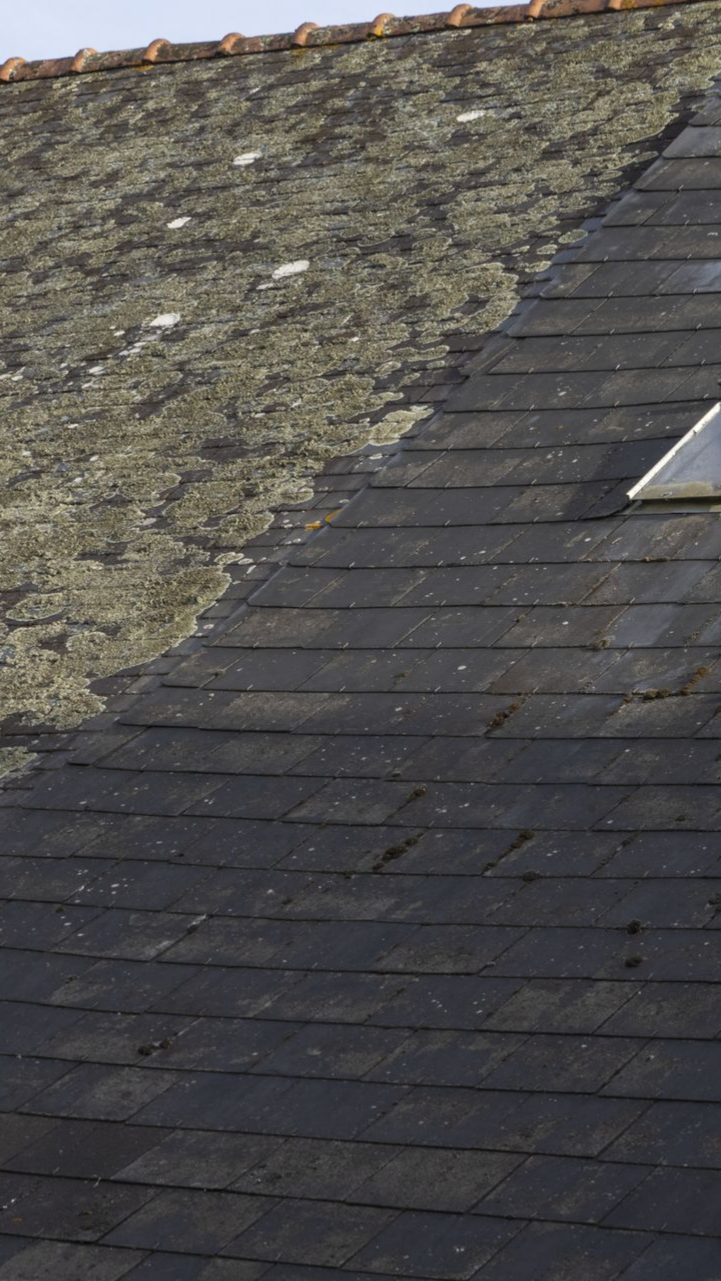 Toiture en ardoise avant et après nettoyage.