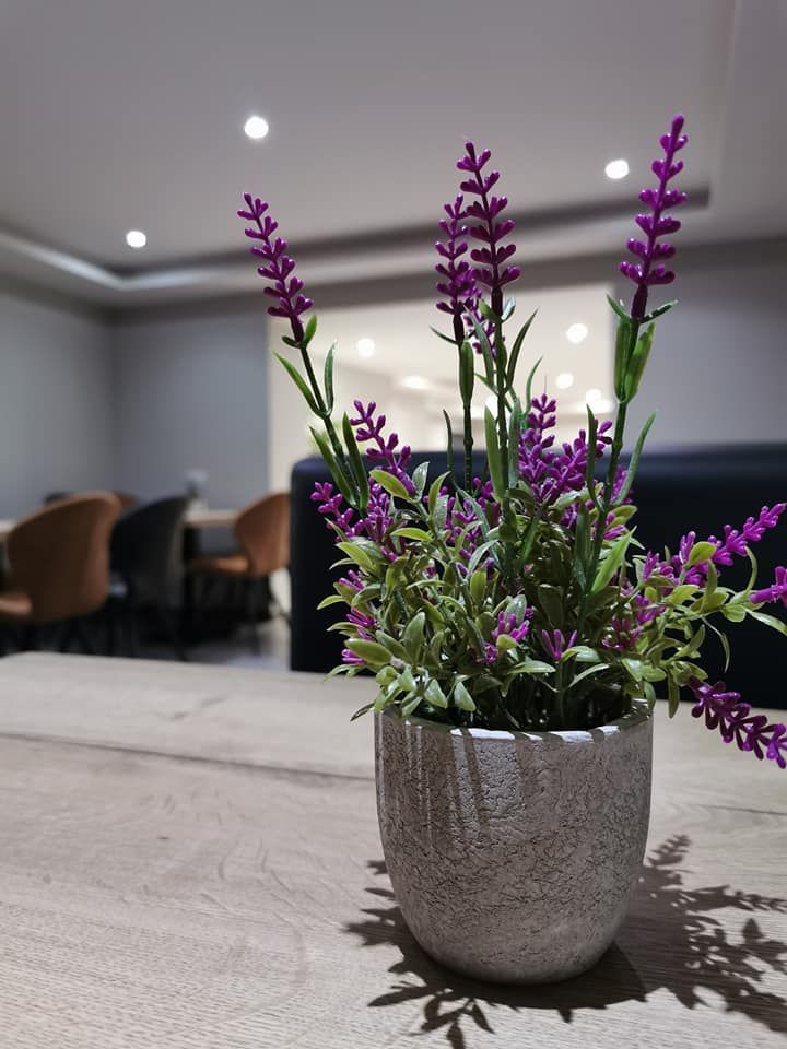 Bruyère de décoration dans notre restaurant