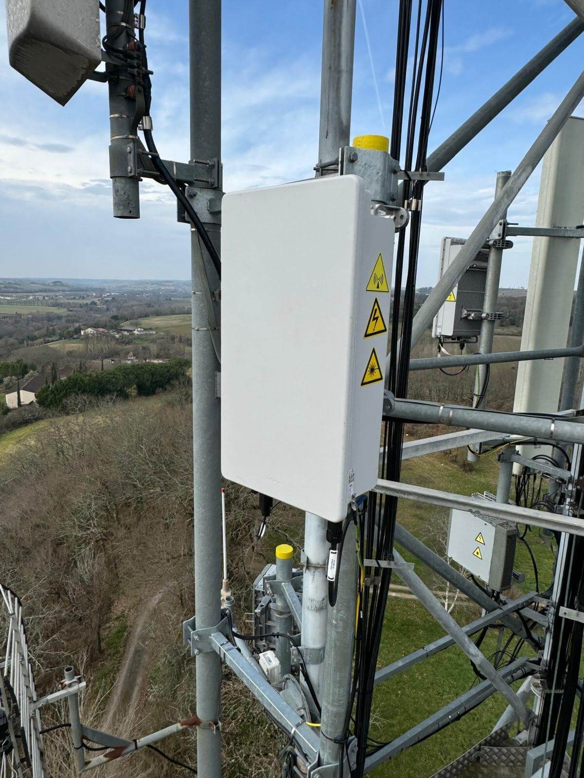 Dijsoncteur sur un mât.