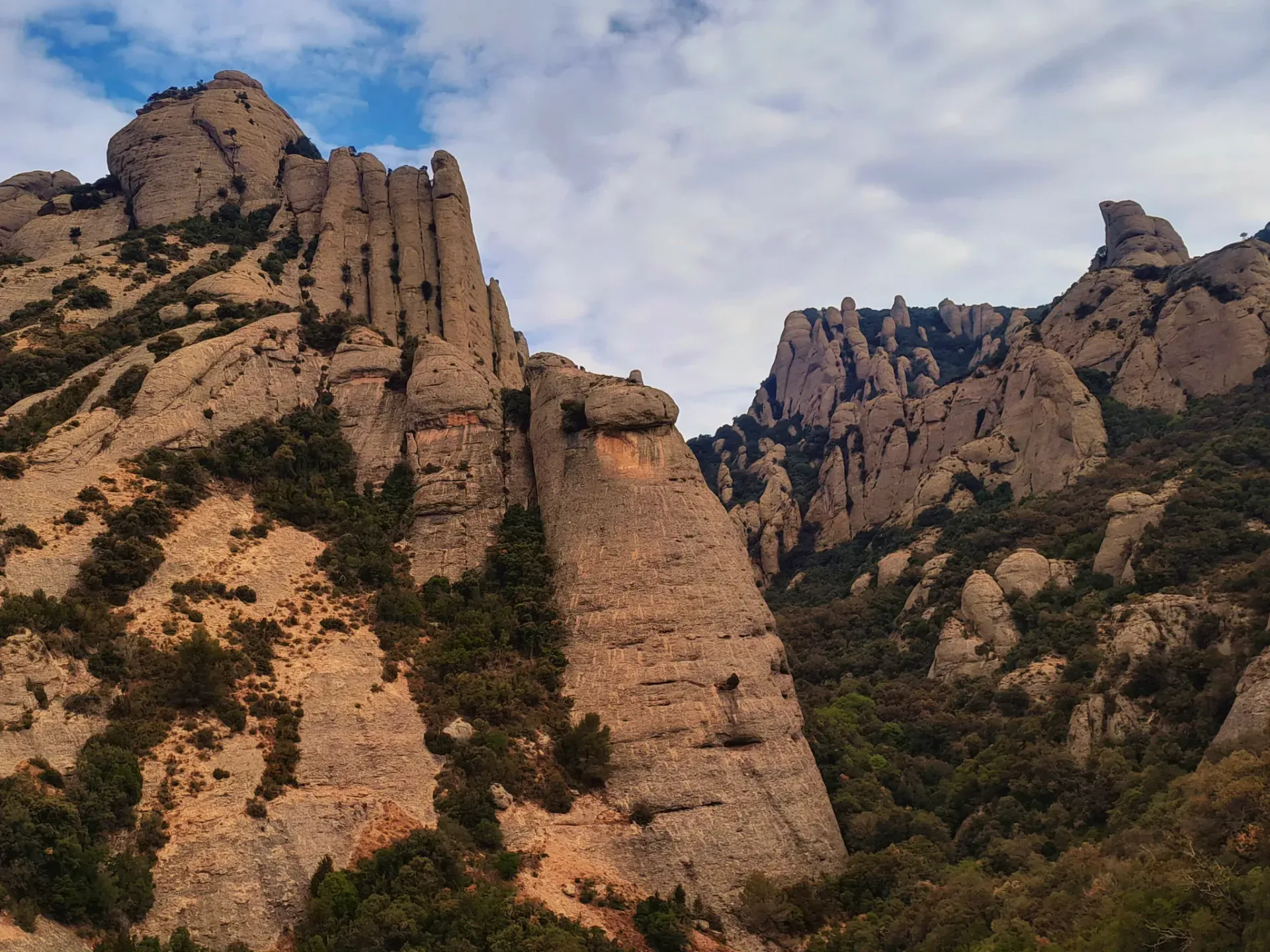 Una montaña con muchas rocas y árboles.