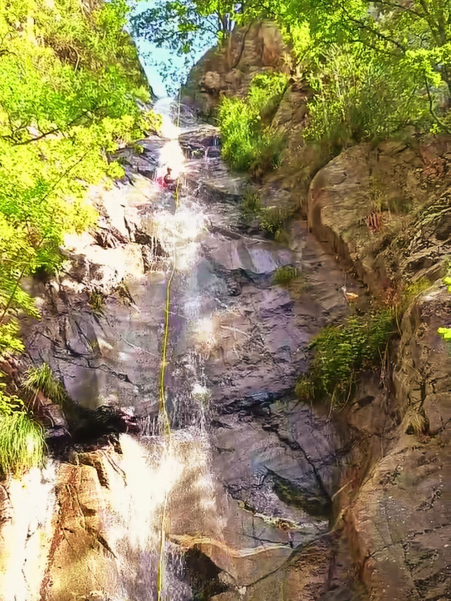 Una cascada está rodeada de árboles y rocas en medio de un bosque.