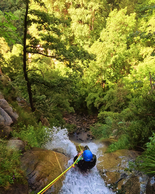 Persona haciendo rápel por una cascada en un frondoso bosque verde, con una cuerda amarilla.
