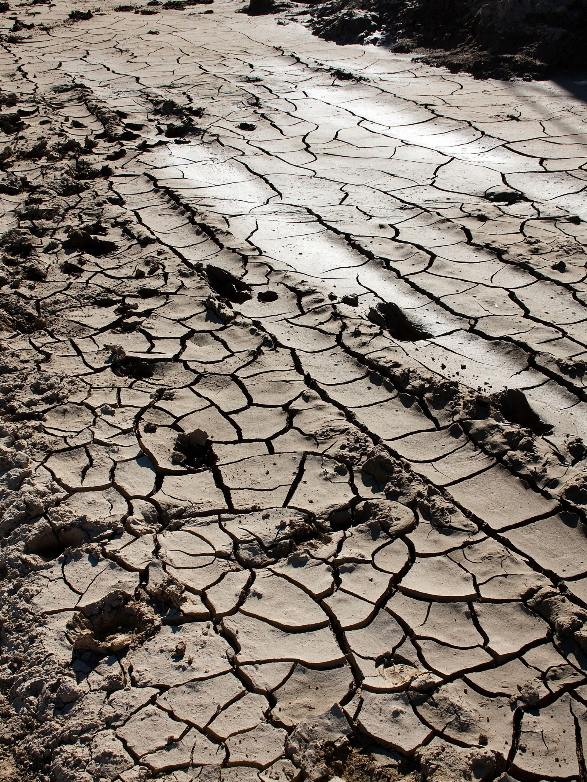 Terre craquelée et sèche avec des traces de pneus et des empreintes de pas, éclairée par la lumière du soleil.