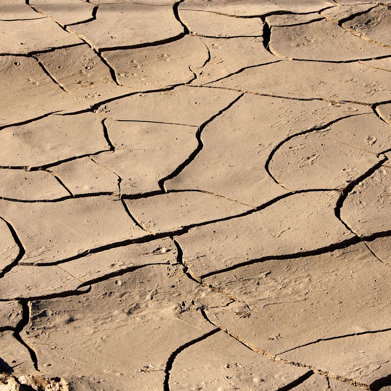 Terre craquelée et sèche, aux lignes profondes et sombres formant un motif polygonal.