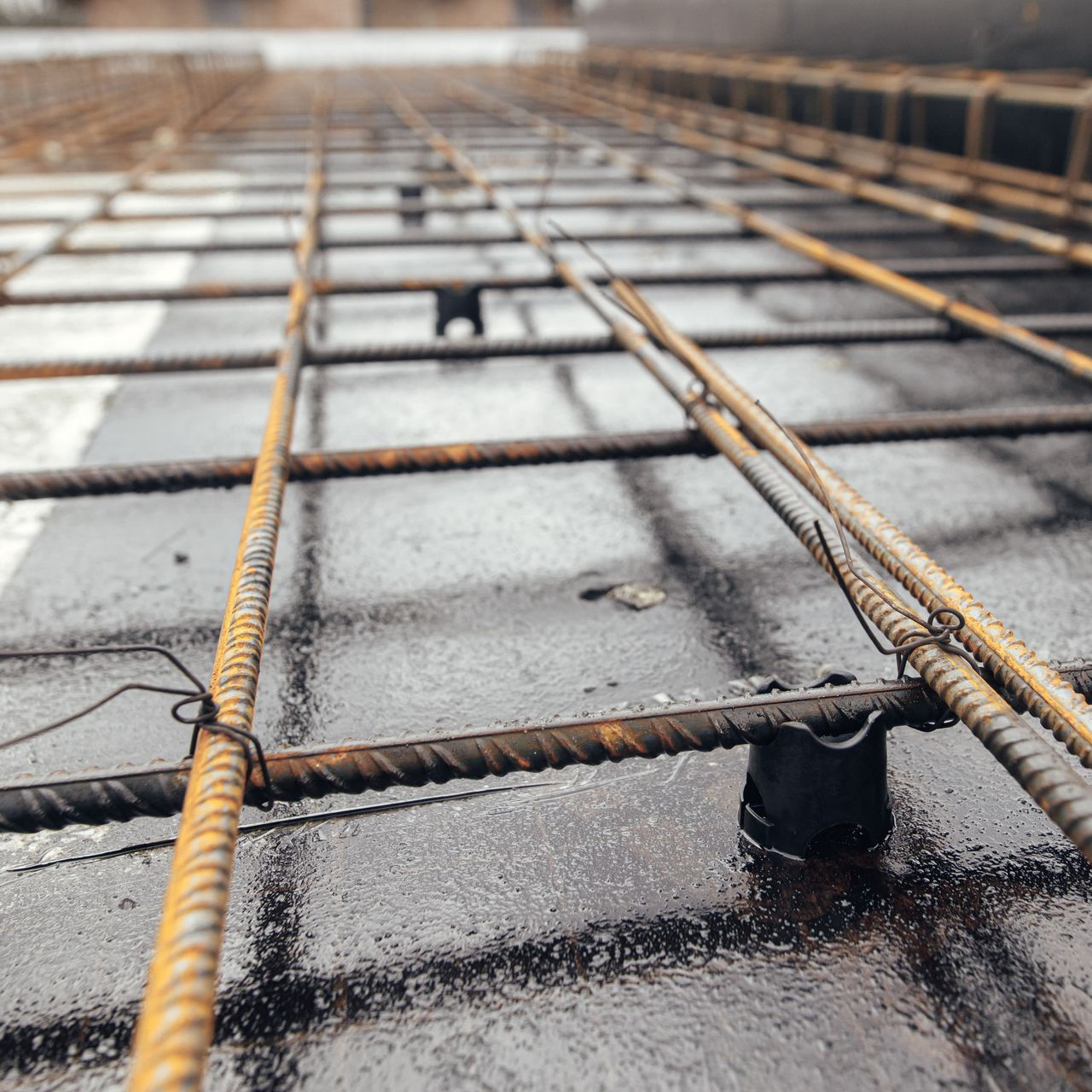 Barres d'acier renforcées sur une base en béton foncé et humide, préparée pour le coulage du béton.
