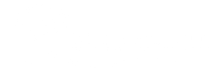 Image blanche vierge.