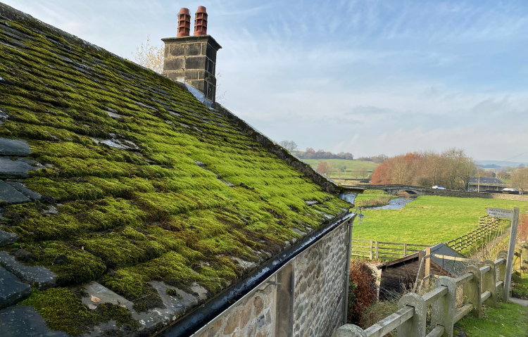 Le toit d'une maison en pierre est recouvert de mousse verte. Une cheminée, une clôture et des champs en arrière-plan.