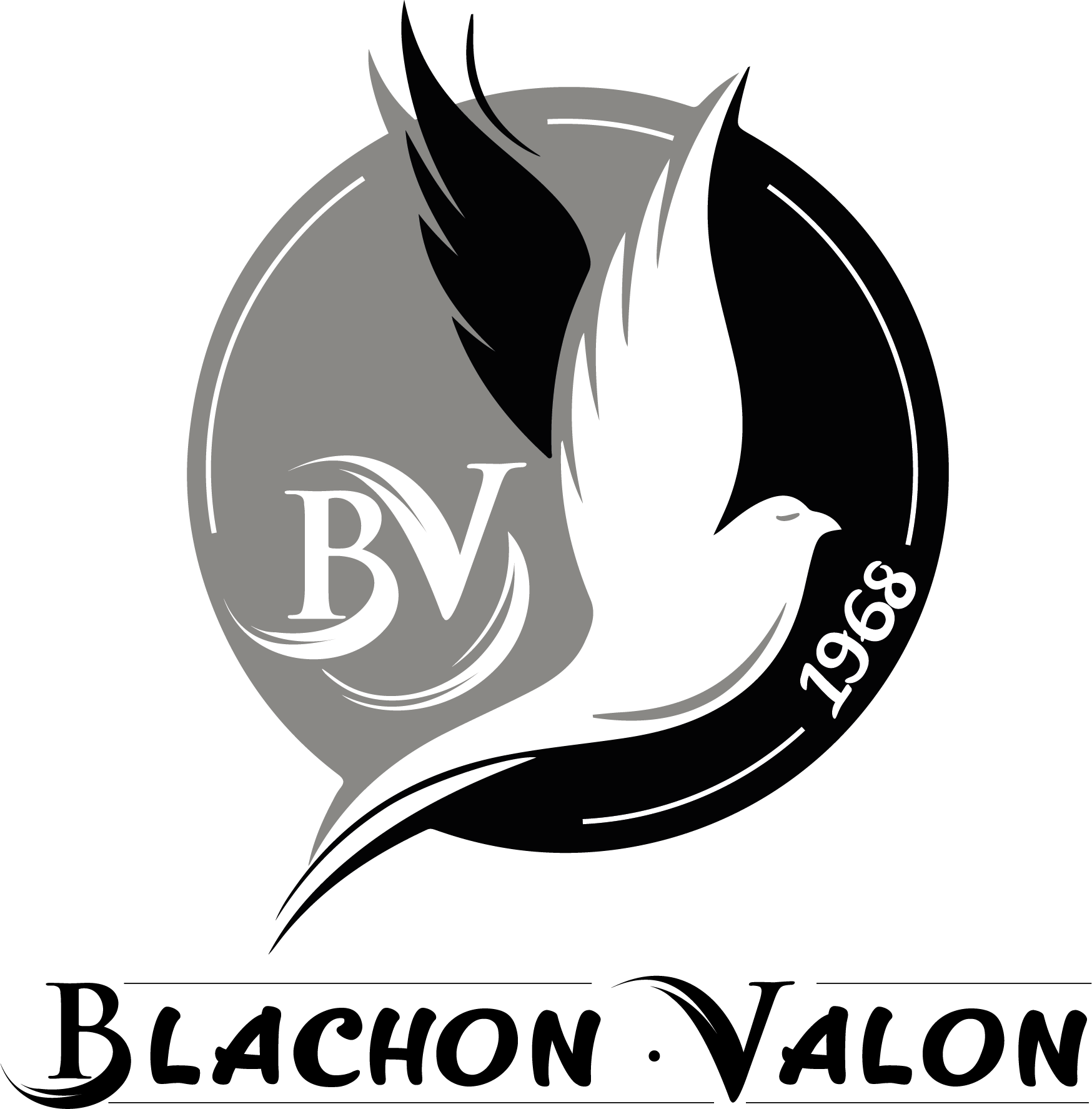 Logo Blanchon Valon