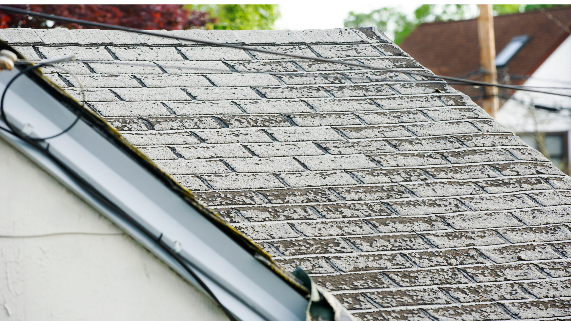 Toiture en bardeaux d'asphalte gris avec gouttière métallique.