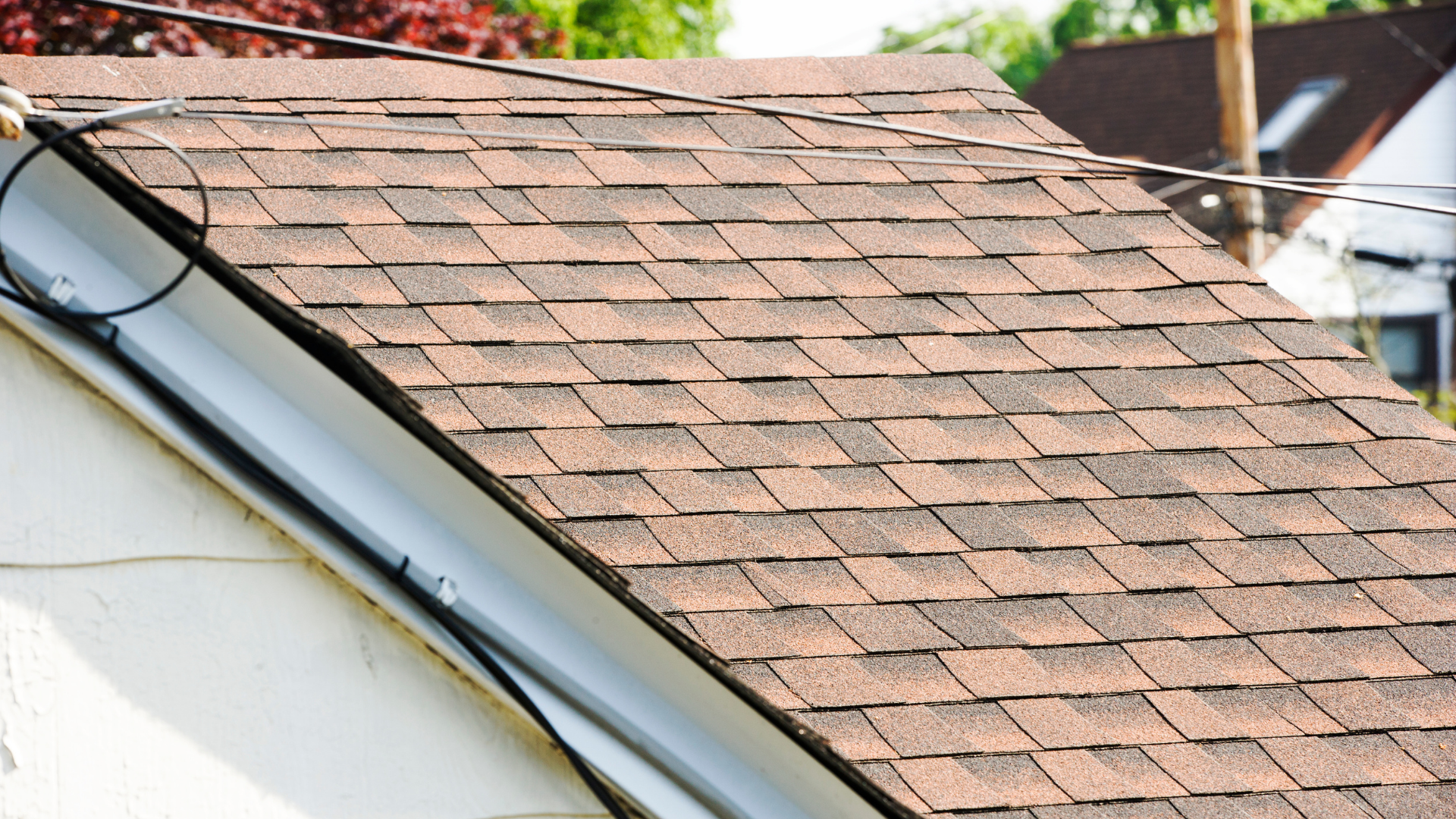 Toiture en bardeaux bruns avec une planche de rive blanche. Un câble noir court le long du bord.