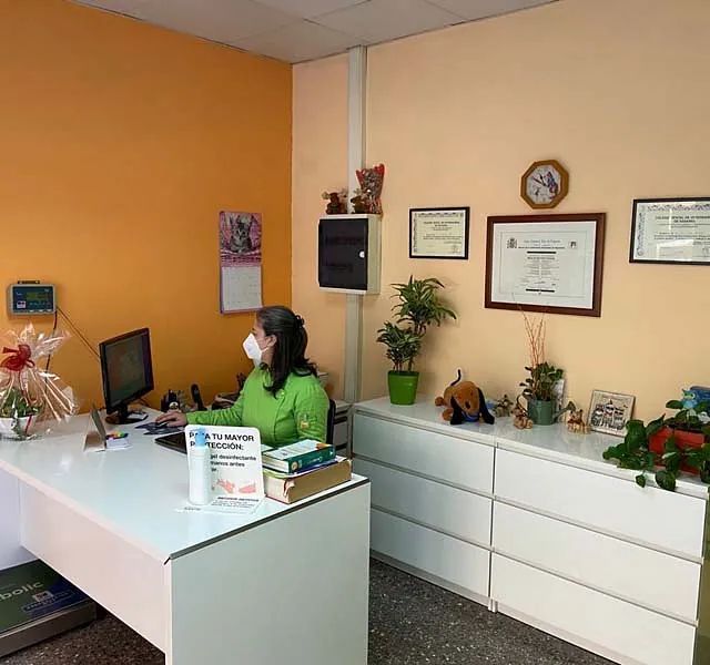 Una mujer con una máscara está sentada en un escritorio en una oficina.