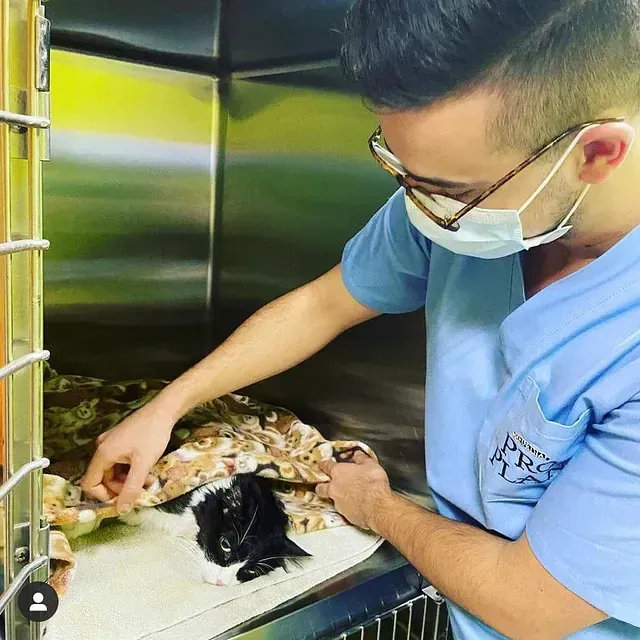 Un hombre con una máscara sostiene un gato blanco y negro.