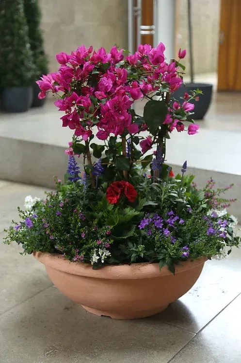 Bepflanzter Kübel mit Blumen