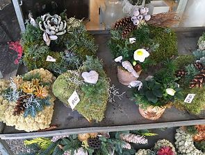 Weihnachtliche Pflanzendeko für die Grabpflege oder als Tischdeko