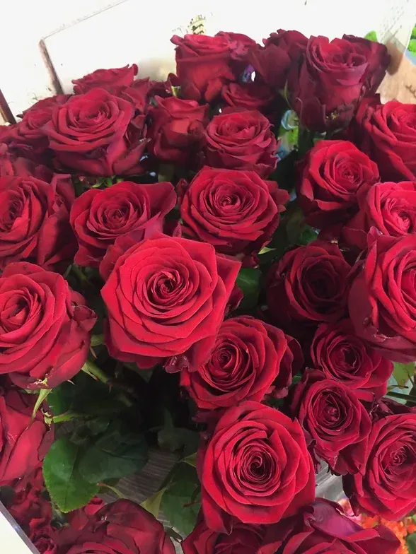 Ein Bund roter Rosen