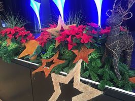 Weihnachtliche Blumendekoration mit Sternen, Hirschen und Christblumen