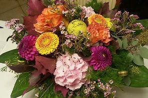 Nahaufnahme von Alpenveilchen