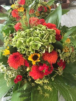 Pflanzenauswahl in der Gärtnerei