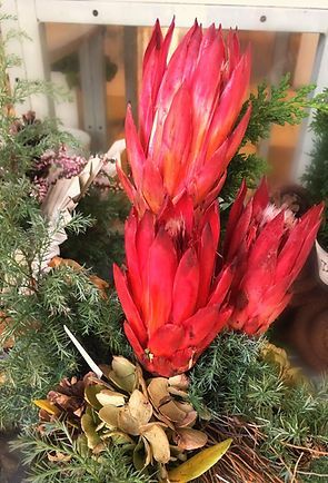 Bewässerung von Blumen in der Gärtnerei