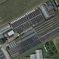 Gärtnerei Blumen Paule-Liebchen GbR in Ludwigsburg aus der Vogelperspektive