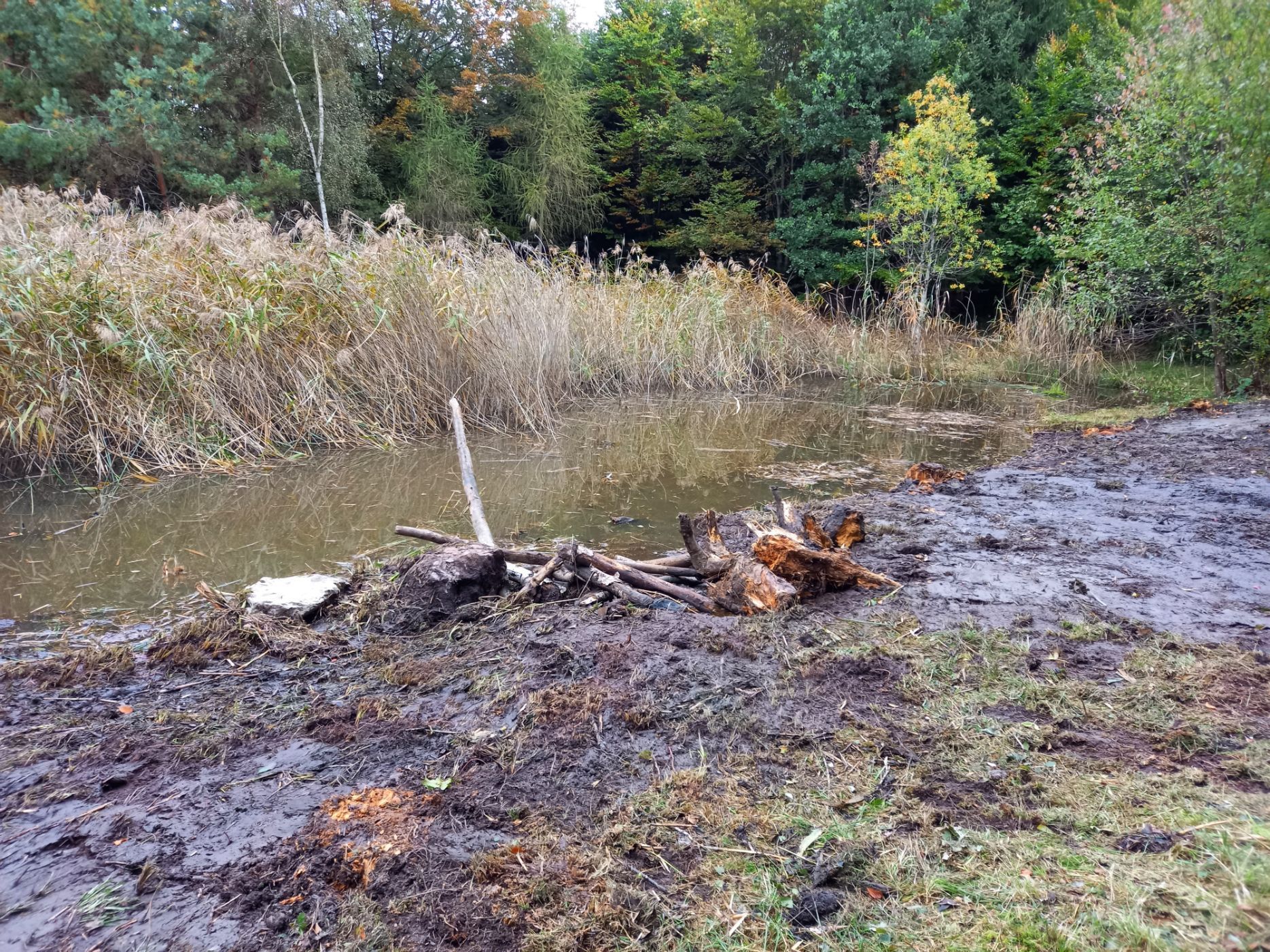 Lothar Gut Baggerbetriebe AG